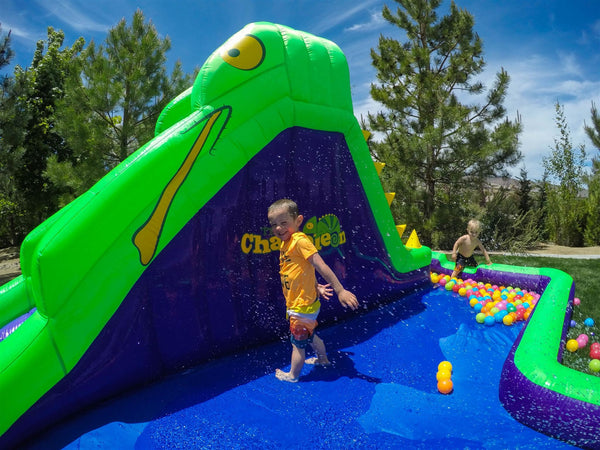 Chameleon 20x11 Water Park