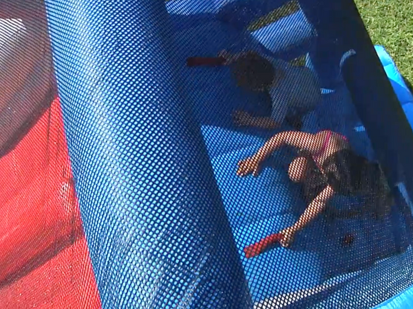 Great White Wild Inflatable Slide